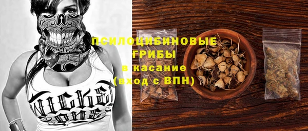 круглые Абаза