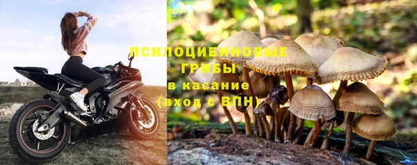 винт Алексин